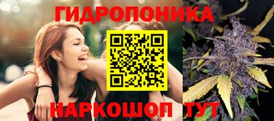 скорость Шелехов