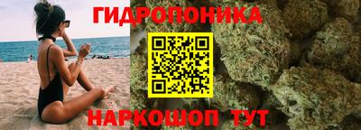 скорость Шелехов