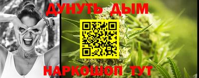 амф Шахты