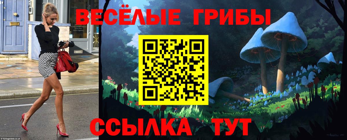 Псилоцибиновые грибы GOLDEN TEACHER Вольск