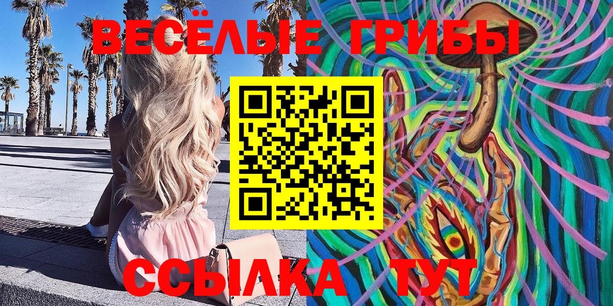 Галлюциногенные грибы мицелий  Вход с VPN  Вольск  Псилоцибиновые грибы ЛСД 